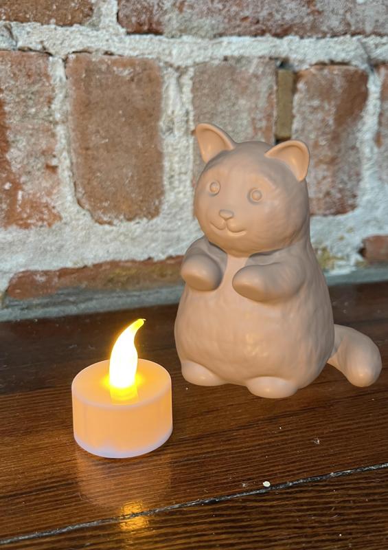 Cat by the Candle