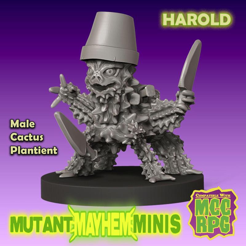 Harold, Stabby Cactus Plantient