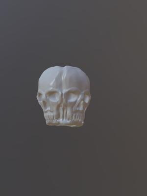Skull