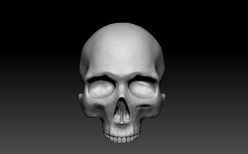 Skull