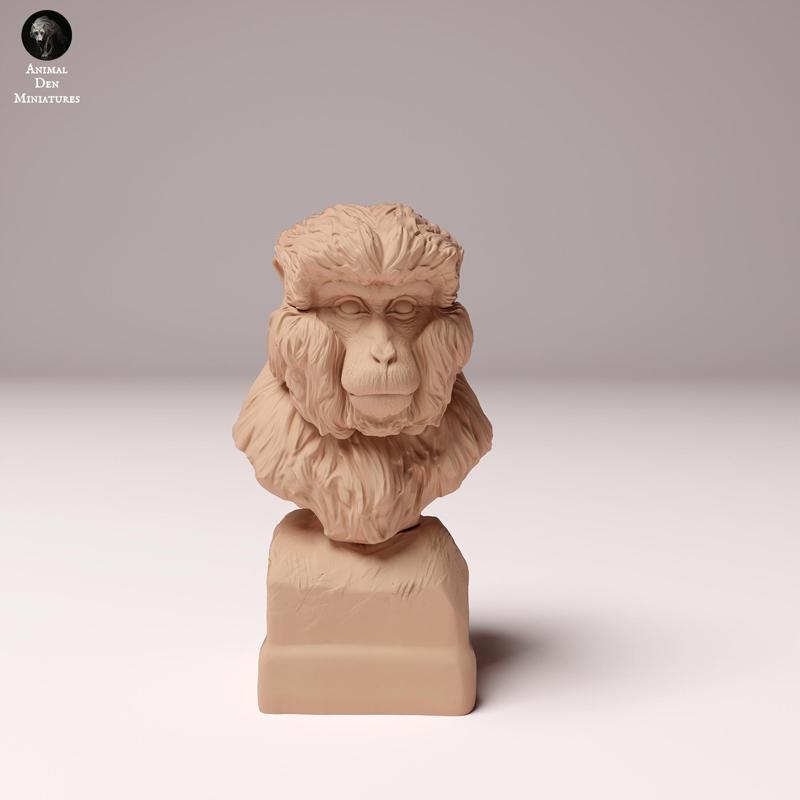 Japanese Macaque Bust