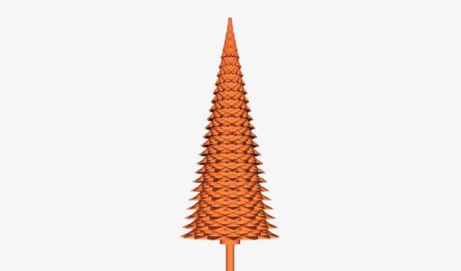 pine tree   