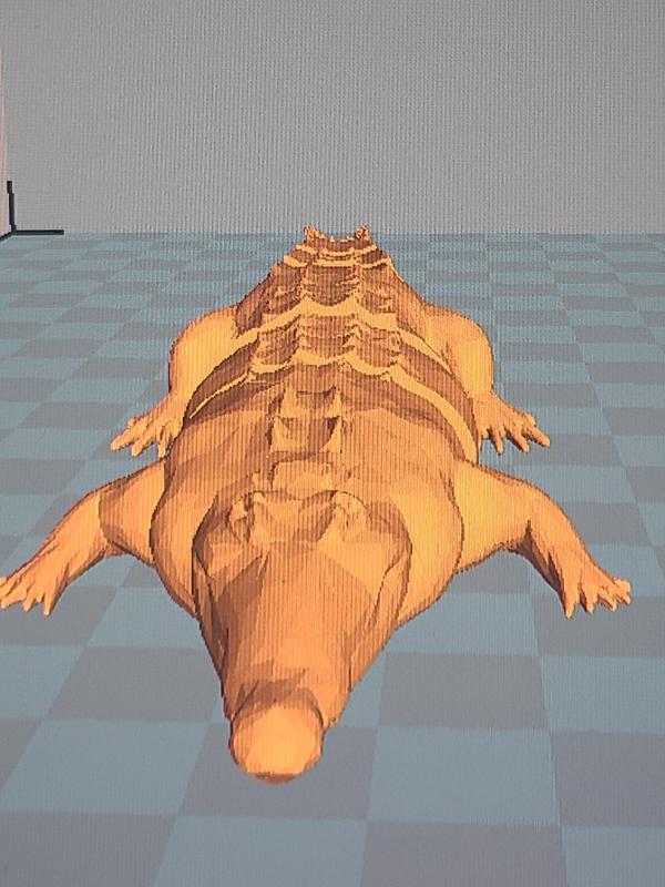 flexy alligator