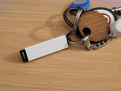 SIM Storage Keychain   