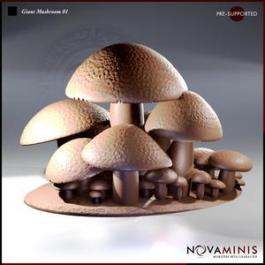 Giant Mushroom 01