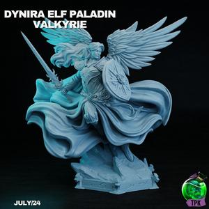 Dynira Elf Paladin Valkerie