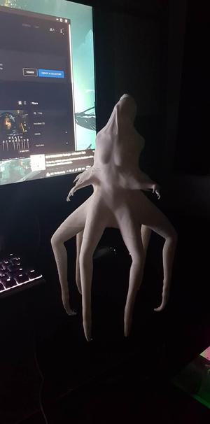 The forest spider mutant