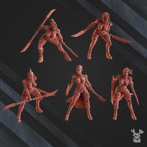 Jet-Biker Raiders