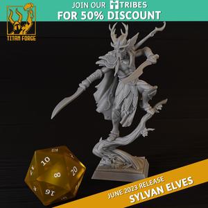Sylvan Elves Cheftain