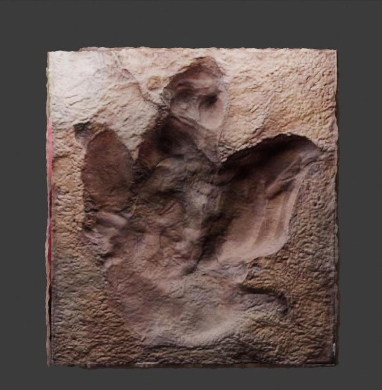 T-Rex Footprint - High Detail Real Fossil Replica
