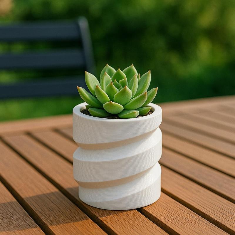 Decorative Mini Pot for Small Plants