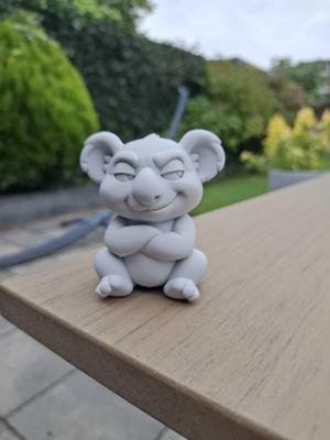 Sneaky Koala