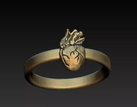 CARDIOVASCULAR - heart ring