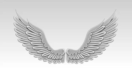 Relief Wings