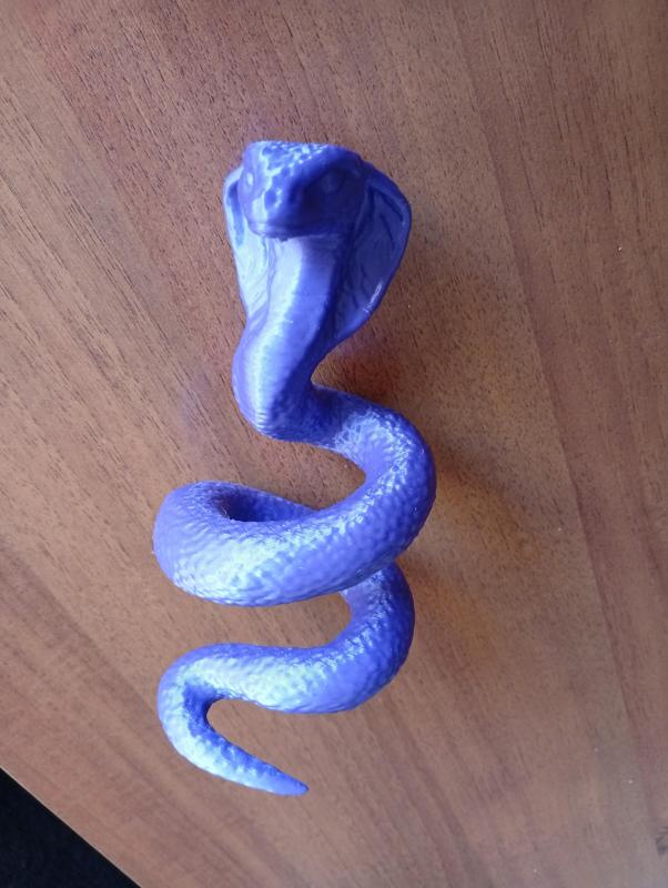 Curtain Holder Spiral Cobra