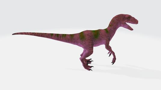 Megaraptor