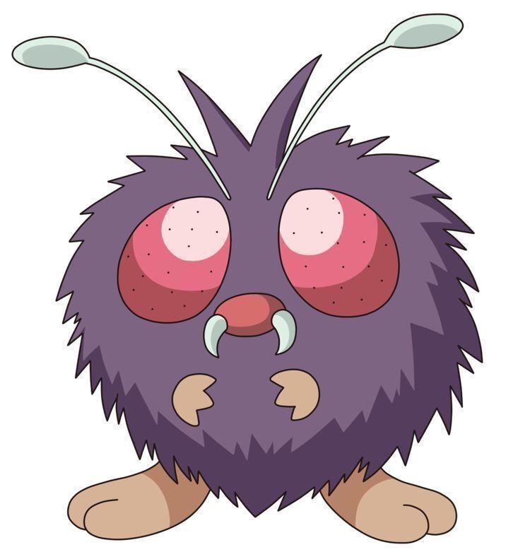 VENONAT