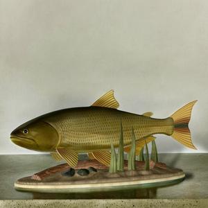 fish golden dorado / Salminus brasiliensis statue underwater detailed texture for 3d printing