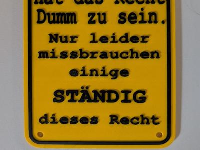 Funny Sign - Everyone has the right to be stupid