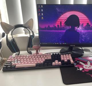 Attachable Cat Ear Headphones