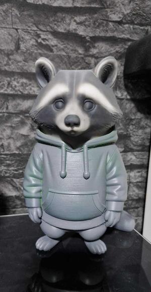 Raccoon