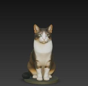 Cat File (Realistic Cat)