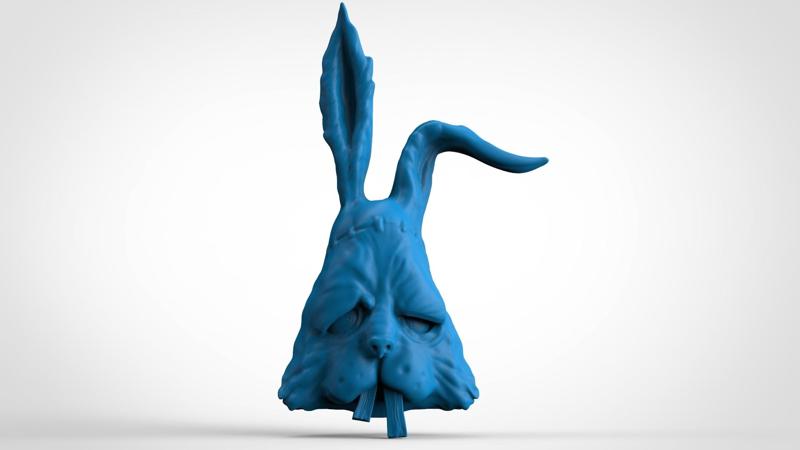 Sullen Face Rabbit