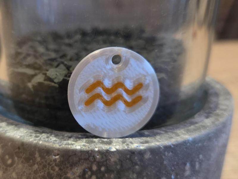 Shopping cart chip with Aquarius zodiac sign