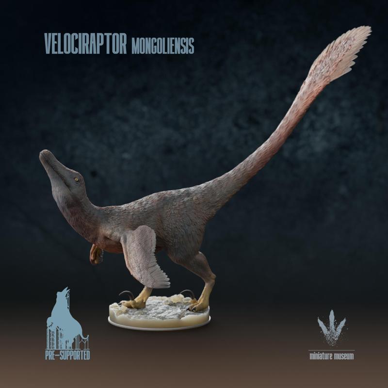 Velociraptor mongoliensis : Mating Display