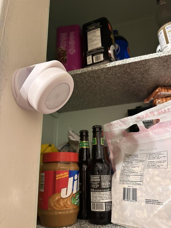 Puck Light 360 Swivel mount