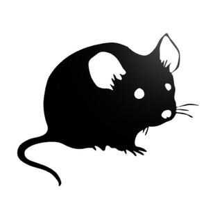 Mouse wall decor 2