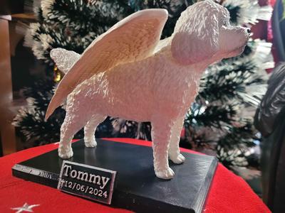 Poodle with wings / poodle angel