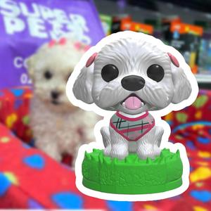 FUNKO MASCOTA