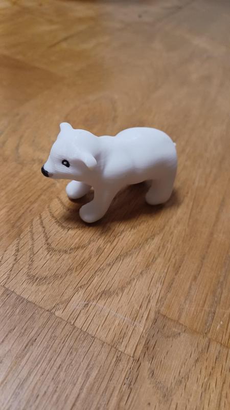 Polar Bear