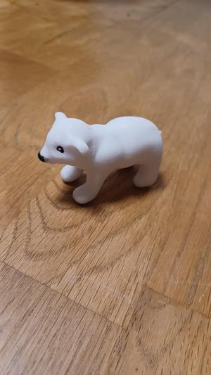Polar Bear
