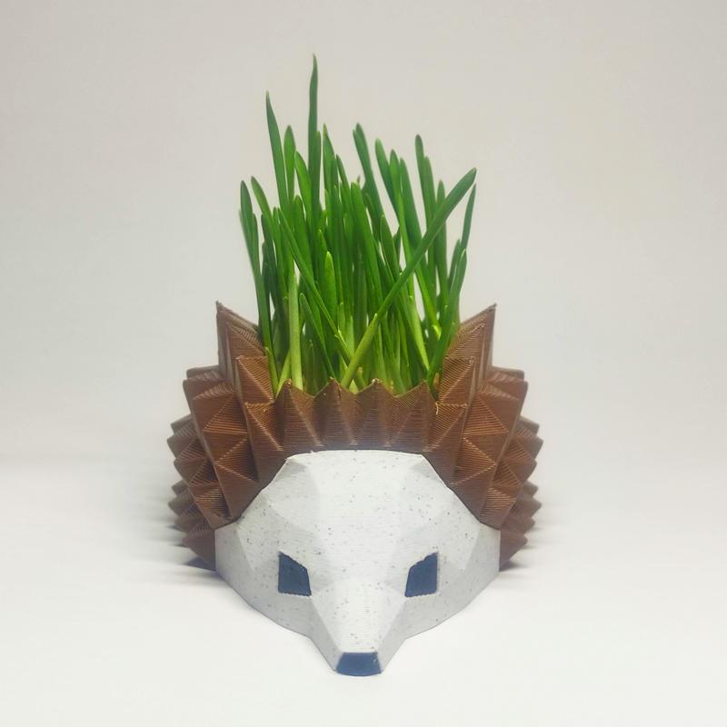 Hedgehog Planters, Seeds starter