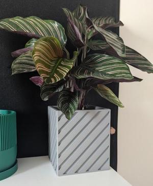 Stylish Square Planter