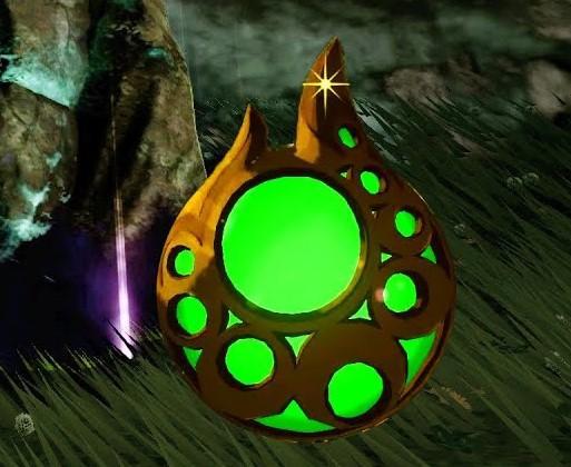 Zelda_breath_of_the_wild_enduro_item