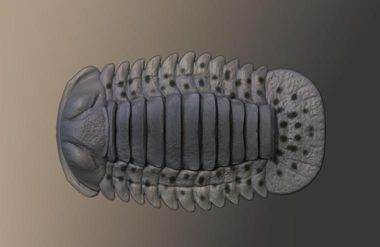 Trilobite Figurine
