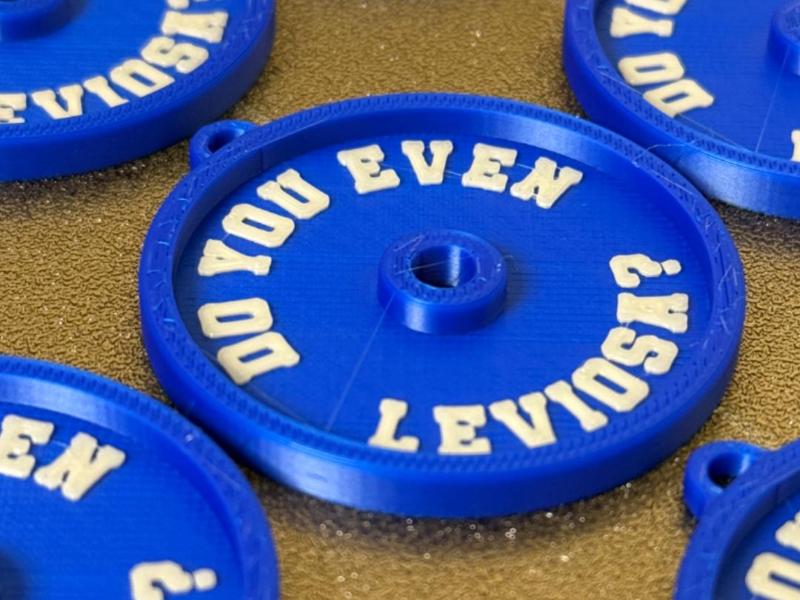 Weight Plate Keychain - DO YOU EVEN LEVIOSA?
