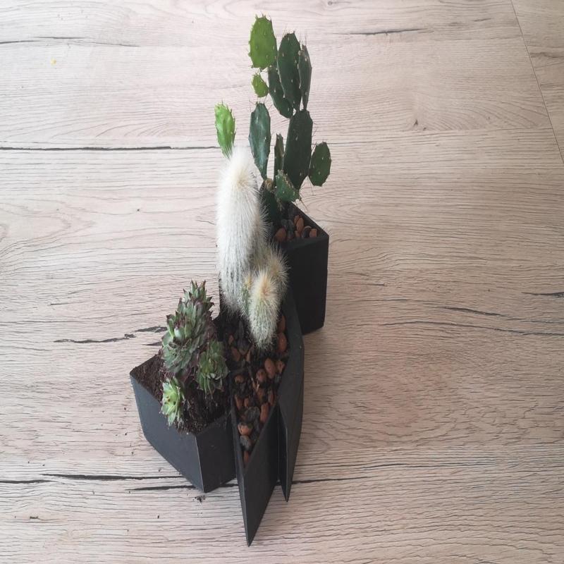 Heavy Rain - Cactus Project