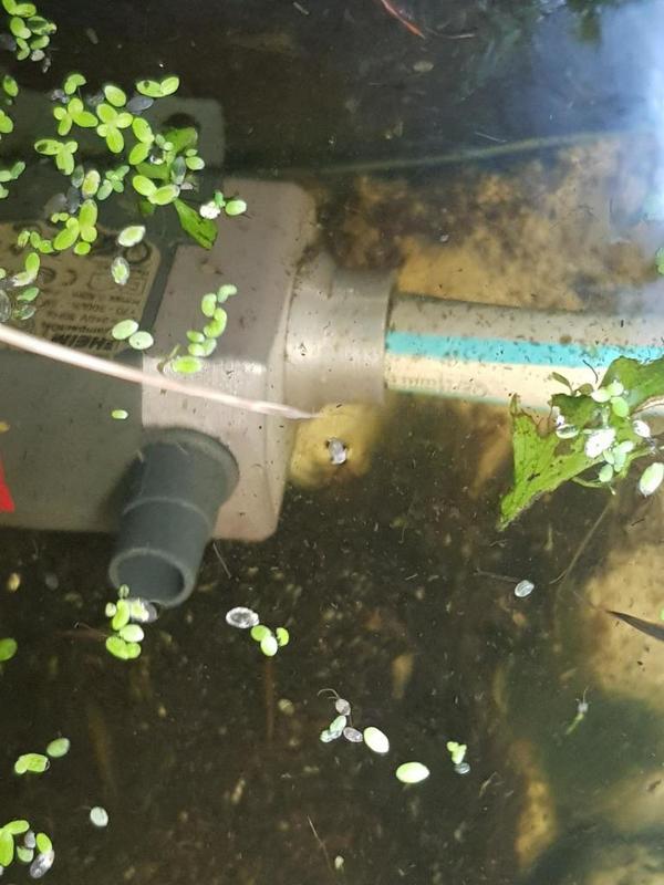 Adapter EHEIM compact ON300 / GARDENA