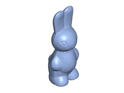 rabbit 04