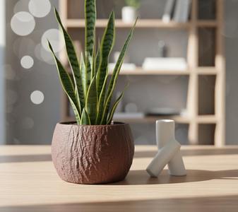 Natural Wood Planter - Botany Chic - Home Decor