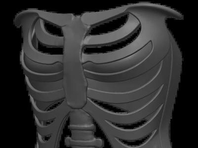 Ribcage Corset Designer