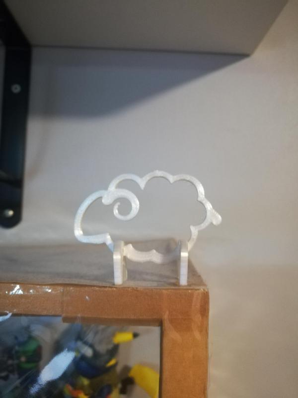 un petit mouton  - little sheep