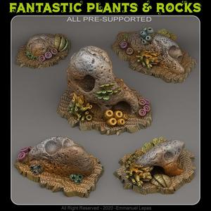 UNDERWATER STONES CAVES