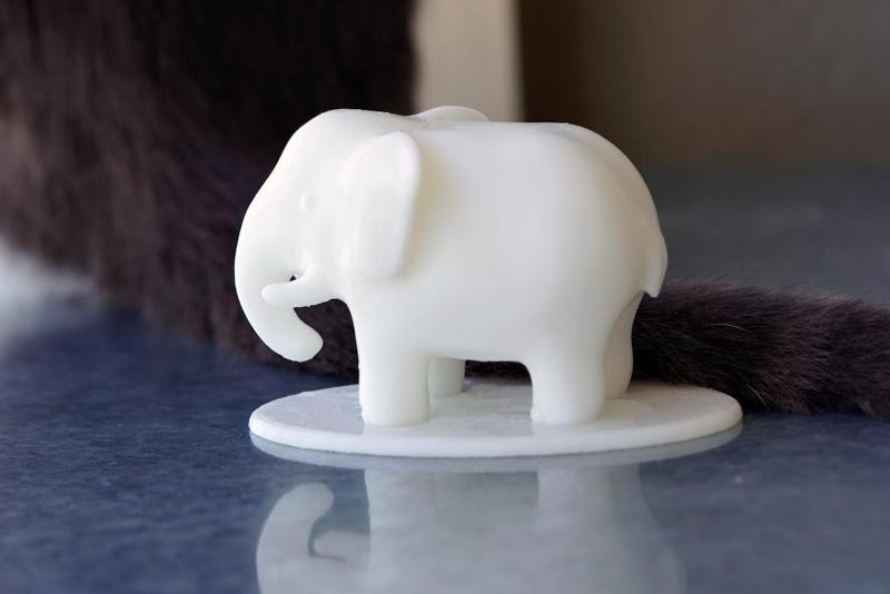 Small elephant