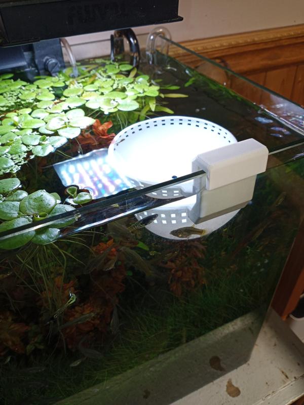 Aquarium water change scoop
