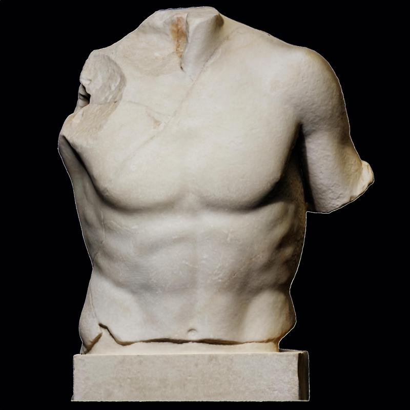 Portion of a Male Torso